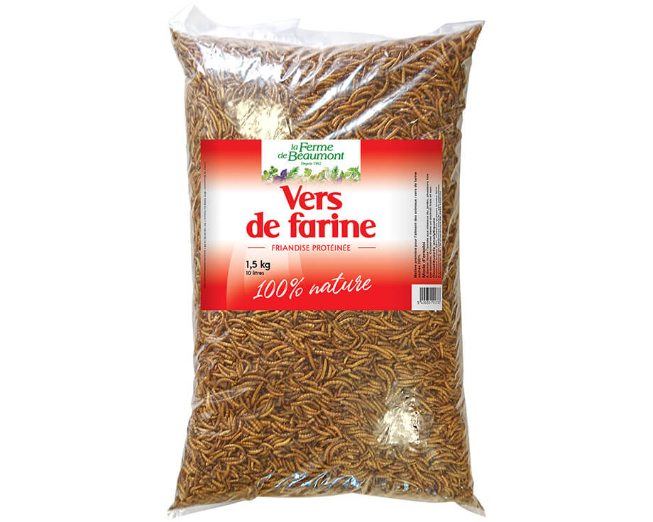 Vers de Farine Déshydratés - 50 gr : 2,80 €